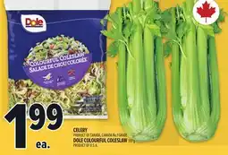 Metro CELERY offer