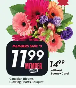 Sobeys Canadian Blooms Glowing Hearts Bouquet offer