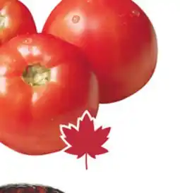 Sobeys Tomatoes offer