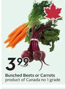 Sobeys Bunched Beets or Carrots offer