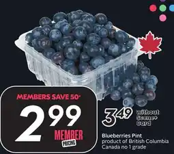 Sobeys Blueberries offer