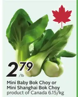 Sobeys Mini Baby Bok Choy or Mini Shanghai Bok Choy offer