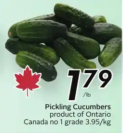 Sobeys Pickling Cucumbers offer