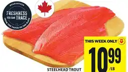 Food Basics STEELHEAD TROUT offer