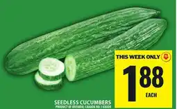 Food Basics SEEDLESS CUCUMBERS offer