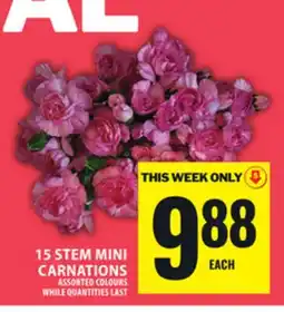 Food Basics 15 STEM MINI CARNATIONS offer
