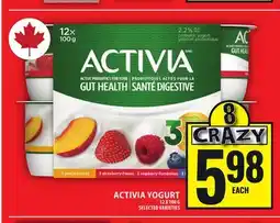 Food Basics ACTIVIA YOGURT offer