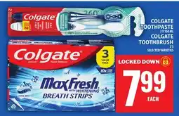 Food Basics COLGATE TOOTHPASTE OR COLGATE TOOTHBRUSH offer