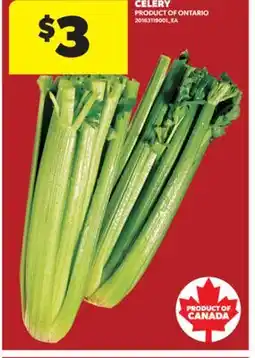 Real Canadian Superstore CELERY offer