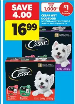Real Canadian Superstore CESAR WET DOG FOOD, 12X100 G offer