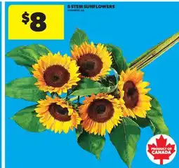 Real Canadian Superstore 5 STEM SUNFLOWERS offer