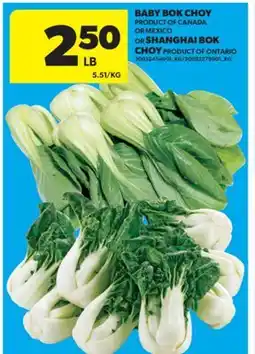Real Canadian Superstore BABY BOK CHOY MEXICO OR SHANGHAI BOK CHOY offer