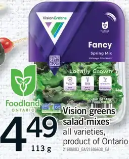 Fortinos VISION GREENS SALAD MIXES, 113G offer
