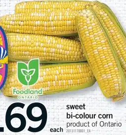 Fortinos SWEET BI-COLOUR CORN offer