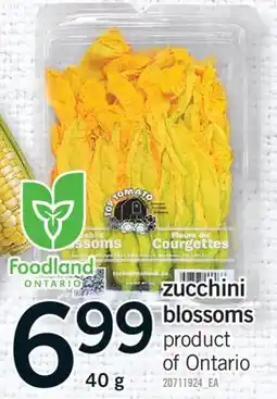 Fortinos ZUCCHINI BLOSSOMS, 40 g offer