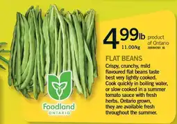 Fortinos FLAT BEANS offer