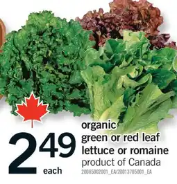 Fortinos ORGANIC GREEN OR RED LEAF LETTUCE OR ROMAINE offer