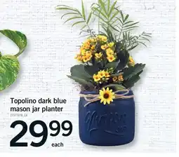 Fortinos TOPOLINO DARK BLUE MASON JAR PLANTER offer