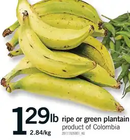 Fortinos RIPE OR GREEN PLANTAIN offer