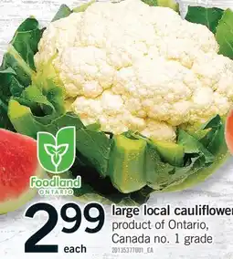 Fortinos LARGE LOCAL CAULIFLOWER offer