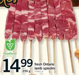 Fortinos FRESH ONTARIO LAMB SPIEDINI, 250 g offer