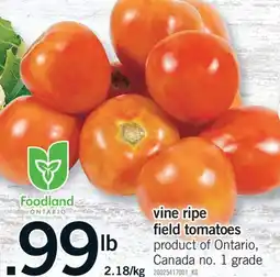 Fortinos VINE RIPE FIELD TOMATOES offer