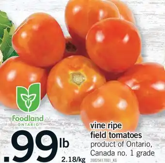 Fortinos VINE RIPE FIELD TOMATOES offer