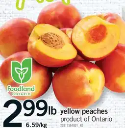 Fortinos YELLOW PEACHES offer