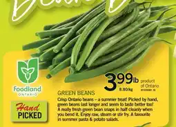 Fortinos GREEN BEANS offer