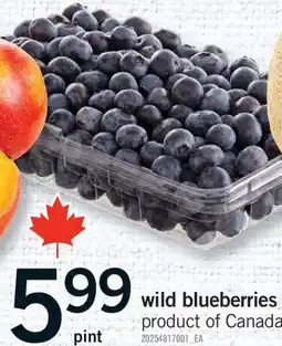 Fortinos WILD BLUEBERRIES offer
