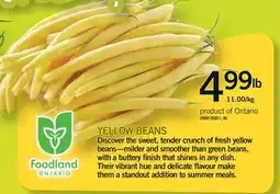 Fortinos YELLOW BEANS offer