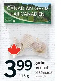 Fortinos GARLIC, 115 G offer