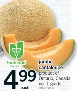 Fortinos JUMBO CANTALOUPE offer