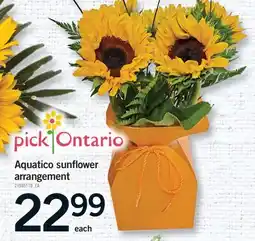 Fortinos AQUATICO SUNFLOWER ARRANGEMENT offer