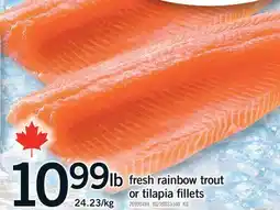 Fortinos FRESH RAINBOW TROUT OR TILAPIA FILLETS offer