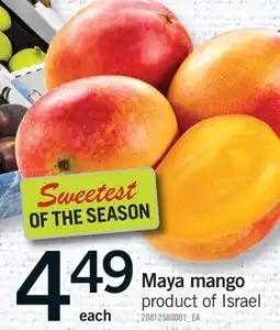 Fortinos MAYA MANGO offer