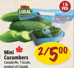 Farm Boy Mini Cucumbers offer