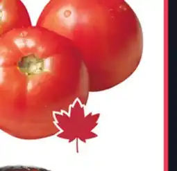 Sobeys Field Grown Tomatoes offer