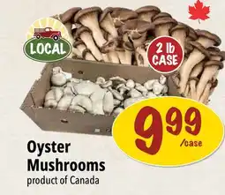 Farm Boy Oyster Mushrooms offer