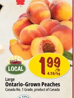 Farm Boy Large Ontario-Grown Peaches offer