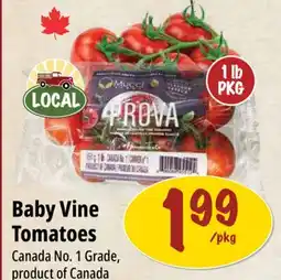 Farm Boy Baby Vine Tomatoes offer
