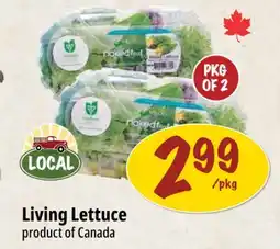 Farm Boy Living Lettuce offer