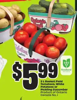 FreshCo 3 L Basket Field Tomatoes, White Potatoes or Pickling Cucumber Product of Ontario Canada No.1 offer
