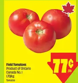 FreshCo Field Tomatoes Product Of ontario Canada No. 1 1.70/kg offer