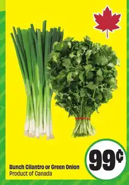 FreshCo Bunch Cilantro or Green Onion Product Of Canada offer