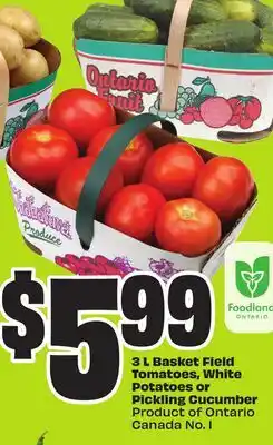 Chalo FreshCo 3 L Basket Field Tomatoes, White Potatoes or Pickling Cucumber Product Ontario Canada No. 1 offer