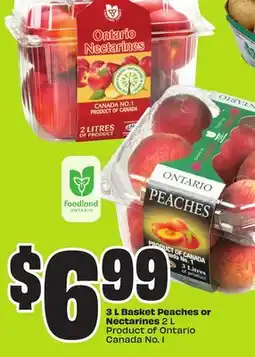 Chalo FreshCo 3 L Basket Peaches or Nectarines 2 L Product of Ontario Canada No. 1 offer