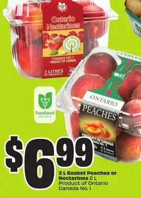 Chalo FreshCo 3 L Basket Peaches or Nectarines 2 L Product of Ontario Canada No. 1 offer