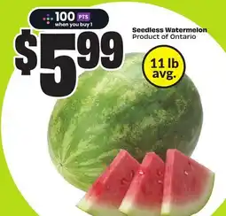 FreshCo Seedless Watermelon Product of Ontario offer