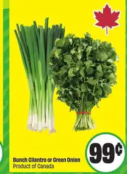 Chalo FreshCo Bunch Cilantro or Green Onion Product of Canada offer